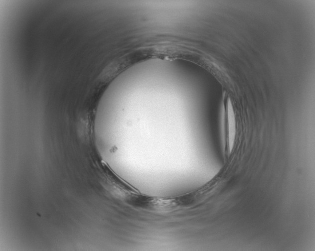 X0000074310333200609230007