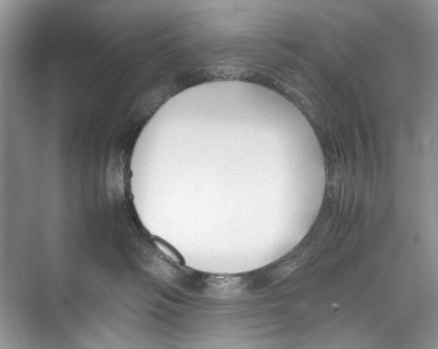 X0000074310334200609230007