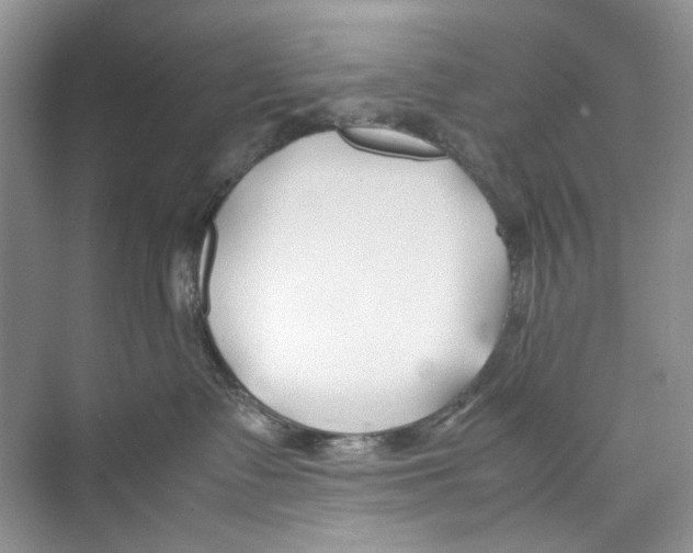 X0000074310335200609230007