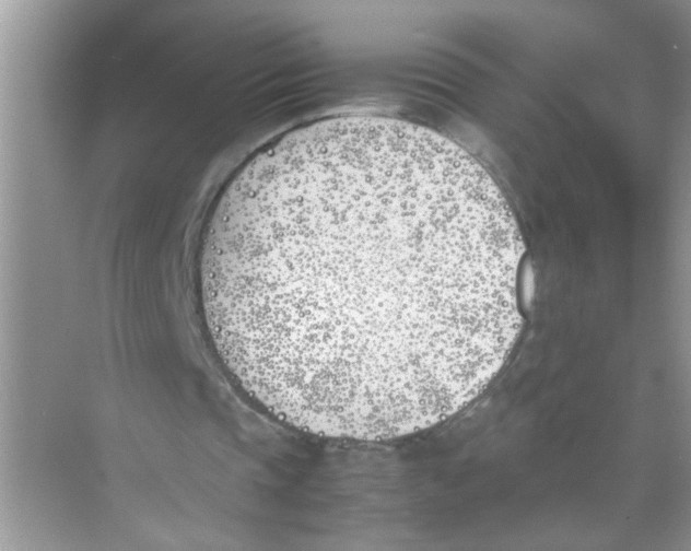 X0000074310337200609230006