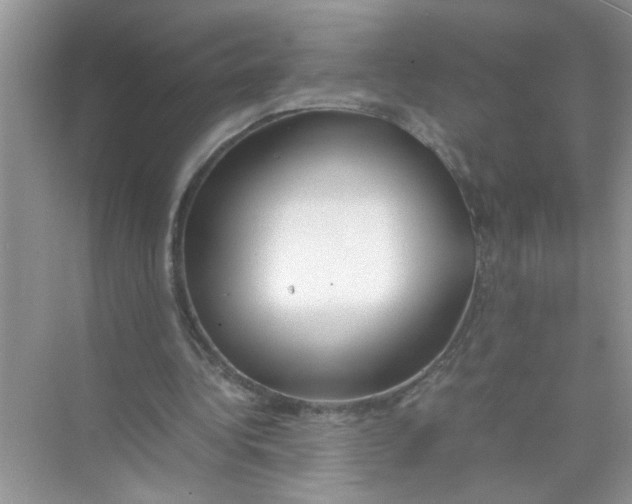 X0000074310340200609230006