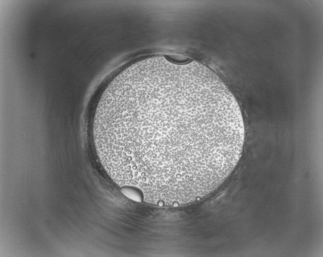 X0000074310343200609230006