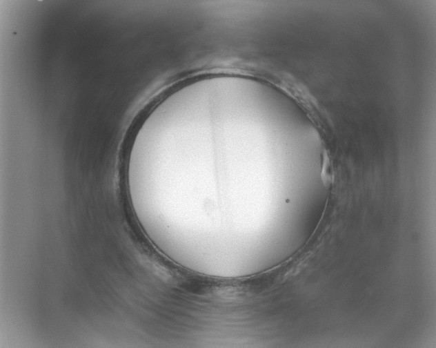 X0000074310344200609230006