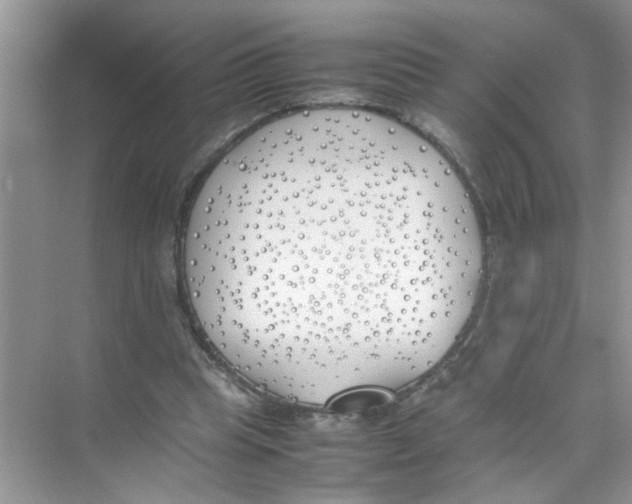 X0000074310345200609230006