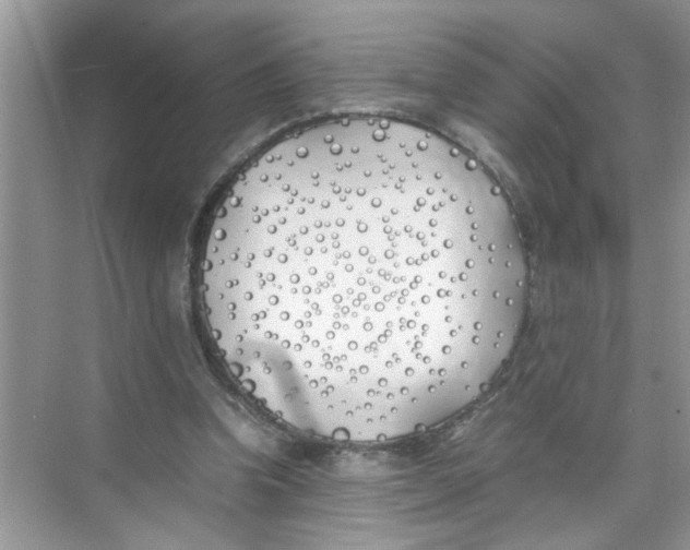 X0000074310346200609230006