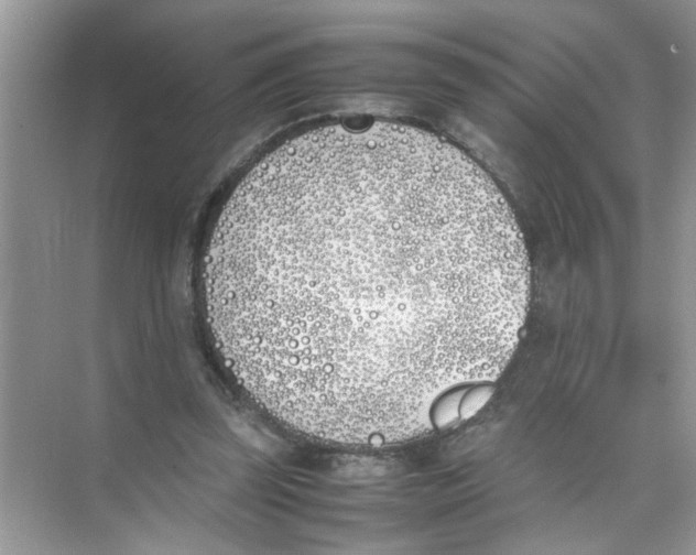 X0000074310347200609230006