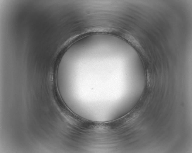 X0000074310348200609230006