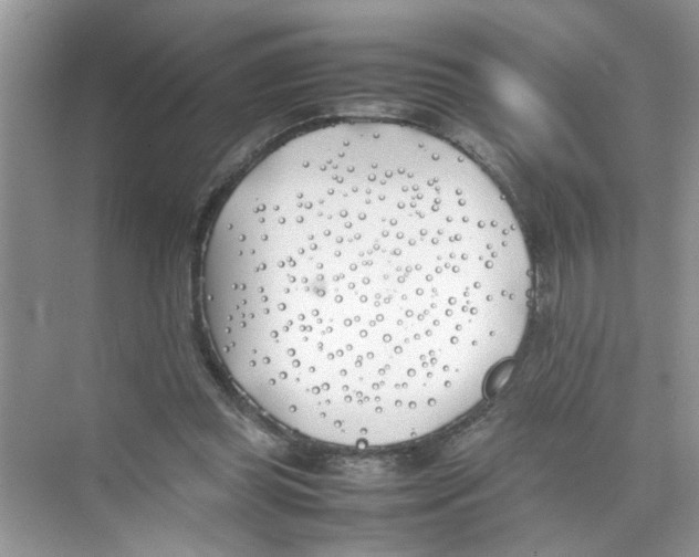 X0000074310349200609230006