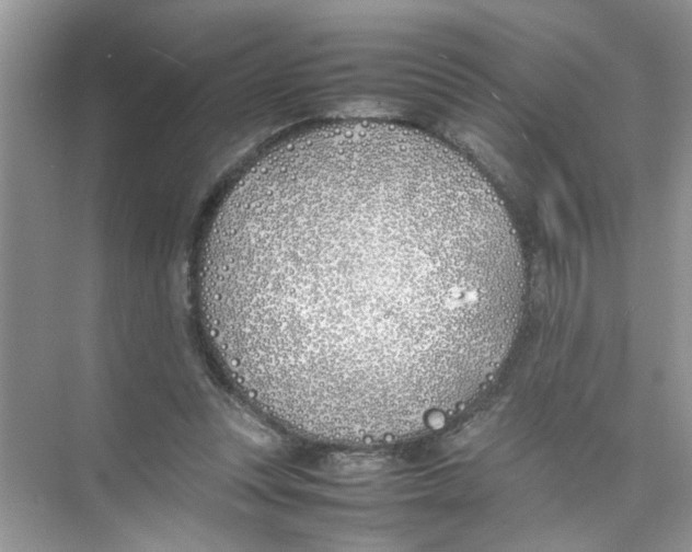 X0000074310351200609230006