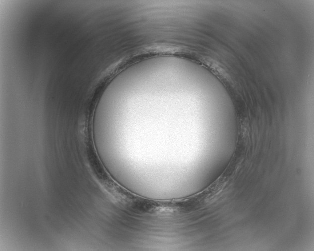 X0000074310352200609230006