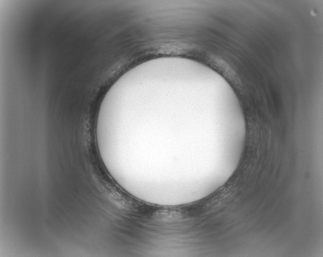 X0000074310354200609230006