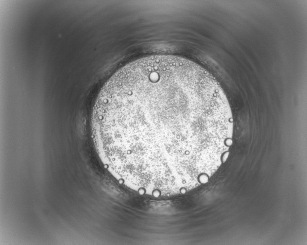 X0000074310355200609230006