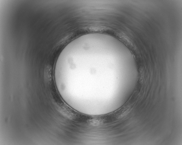 X0000074310356200609230006