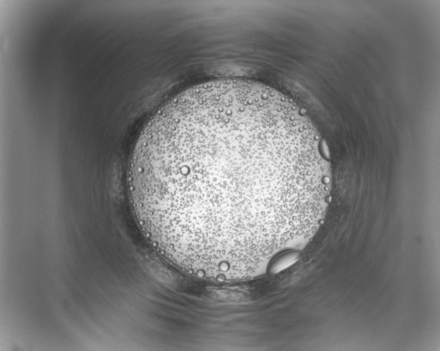 X0000074310359200609230006