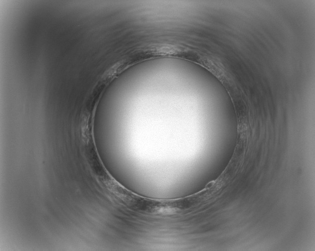 X0000074310360200609230007