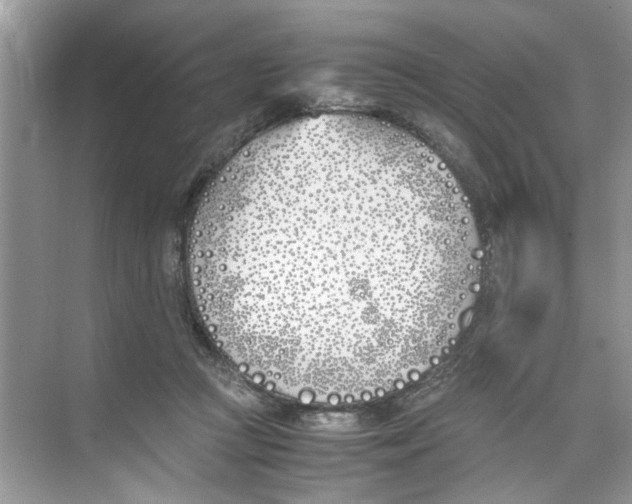 X0000074310361200609230007