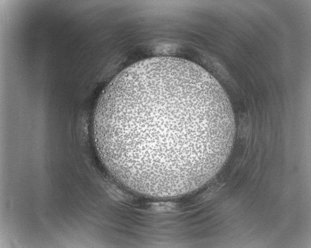 X0000074310363200609230007