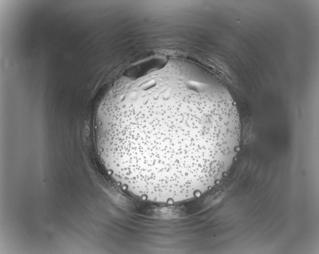 X0000074310365200609230007