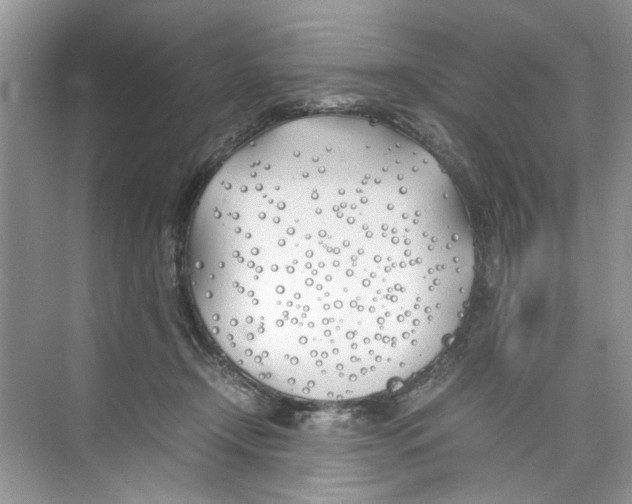 X0000074310366200609230007