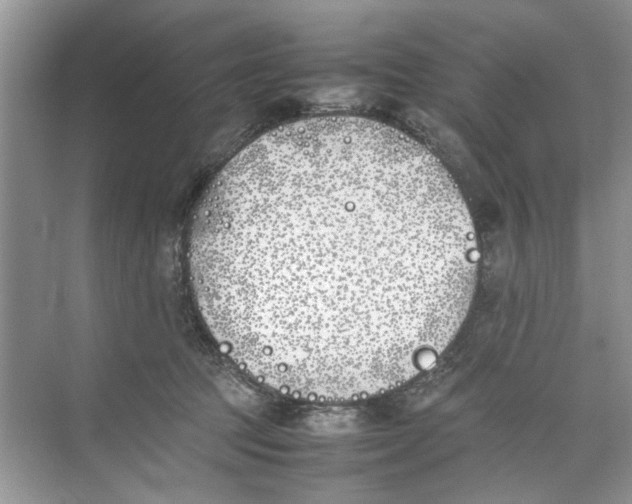 X0000074310369200609230007