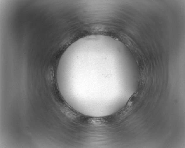 X0000074310372200609230007