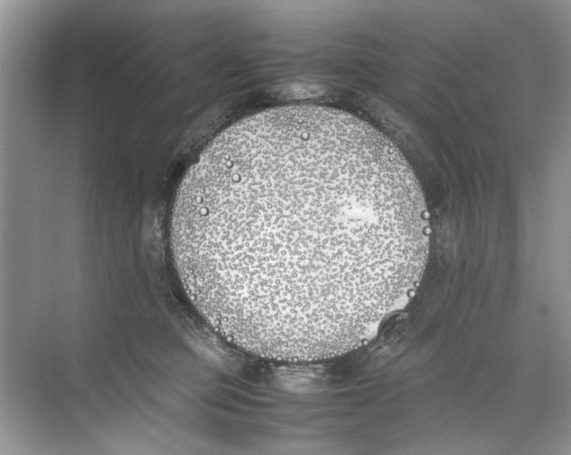 X0000074310373200609230007