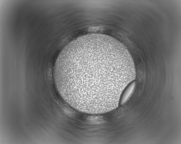 X0000074310375200609230007