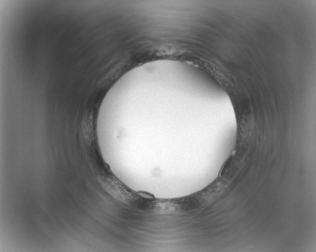 X0000074310376200609230007