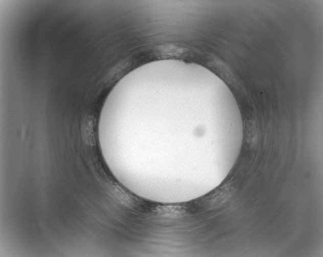 X0000074310378200609230007