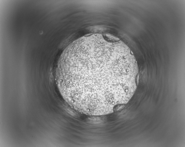 X0000074310381200609230007