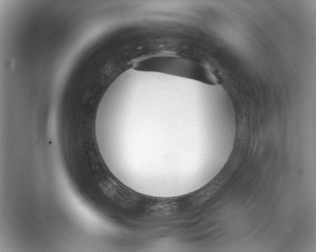 X0000074310383200609230007