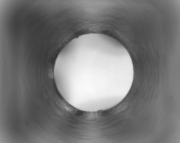 X0000074310384200609230007