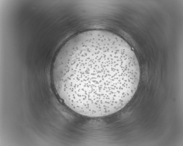 X0000074310386200609230006