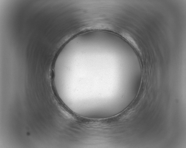 X0000074310389200609230006