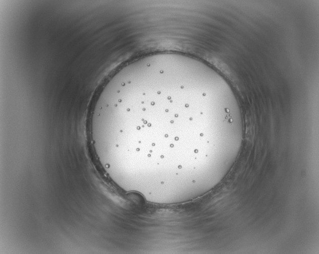 X0000074310390200609230006