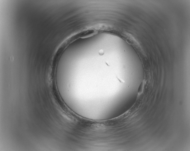 X0000074310392200609230006