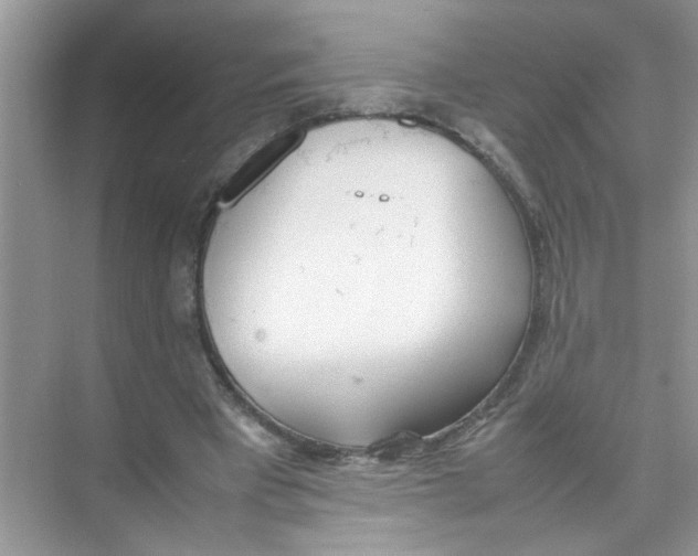 X0000074310393200609230006