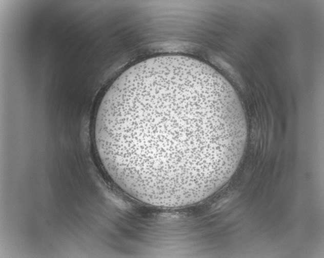 X0000074310394200609230006