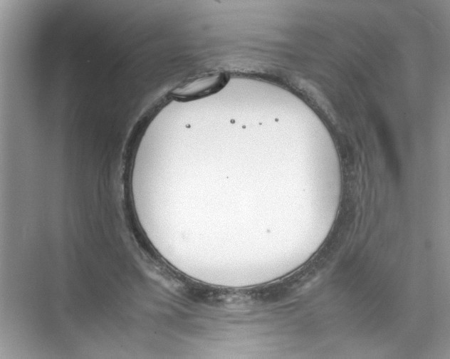 X0000074310395200609230006