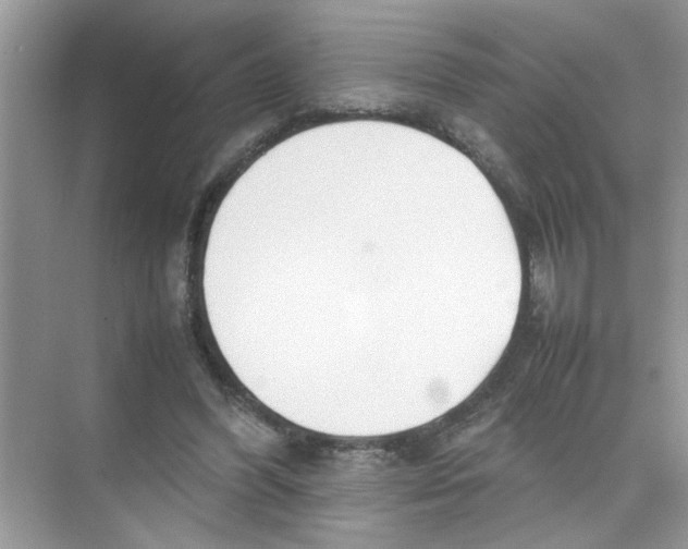 X0000074310396200609230006