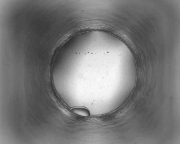 X0000074310397200609230006