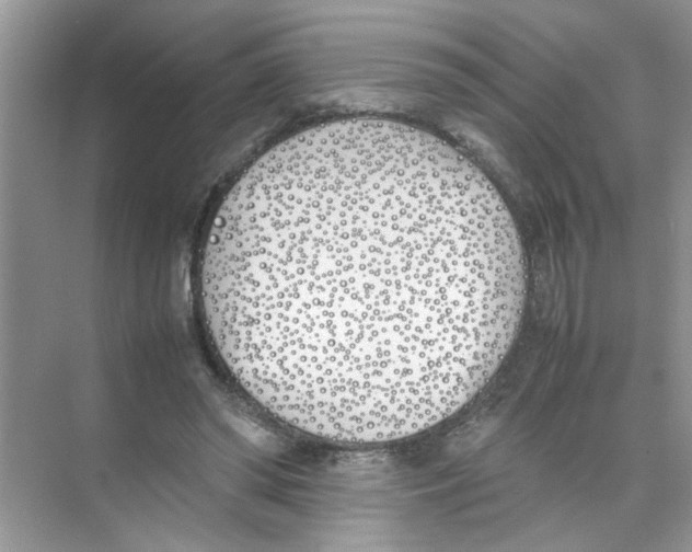 X0000074310398200609230006