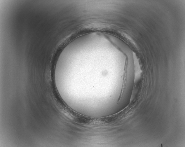 X0000074310399200609230006