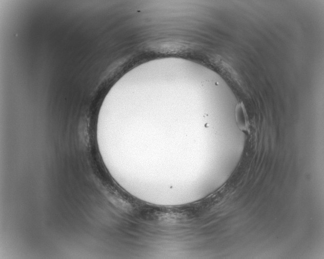 X0000074310400200609230006