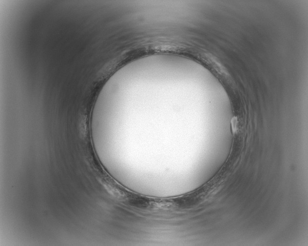 X0000074310401200609230006