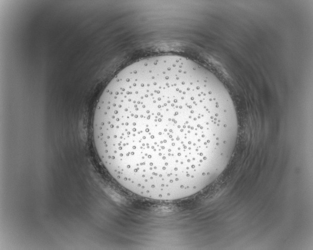 X0000074310402200609230006