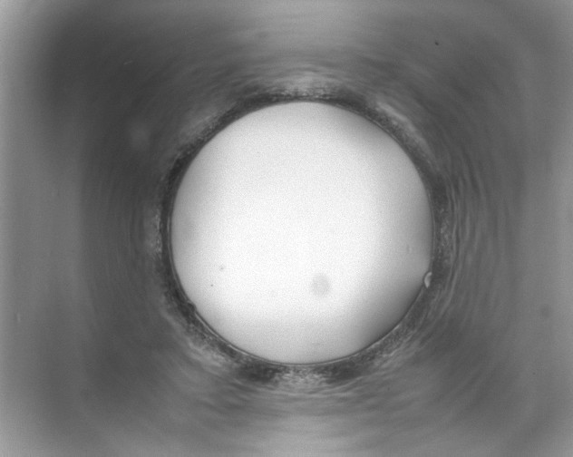 X0000074310403200609230006