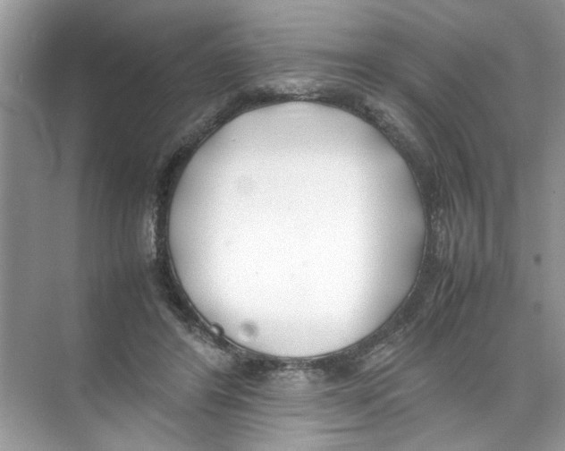 X0000074310404200609230006