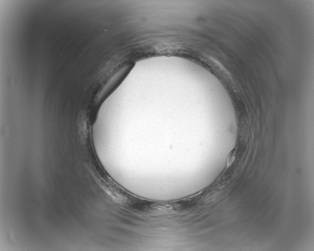 X0000074310405200609230006