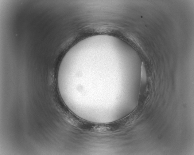 X0000074310407200609230006